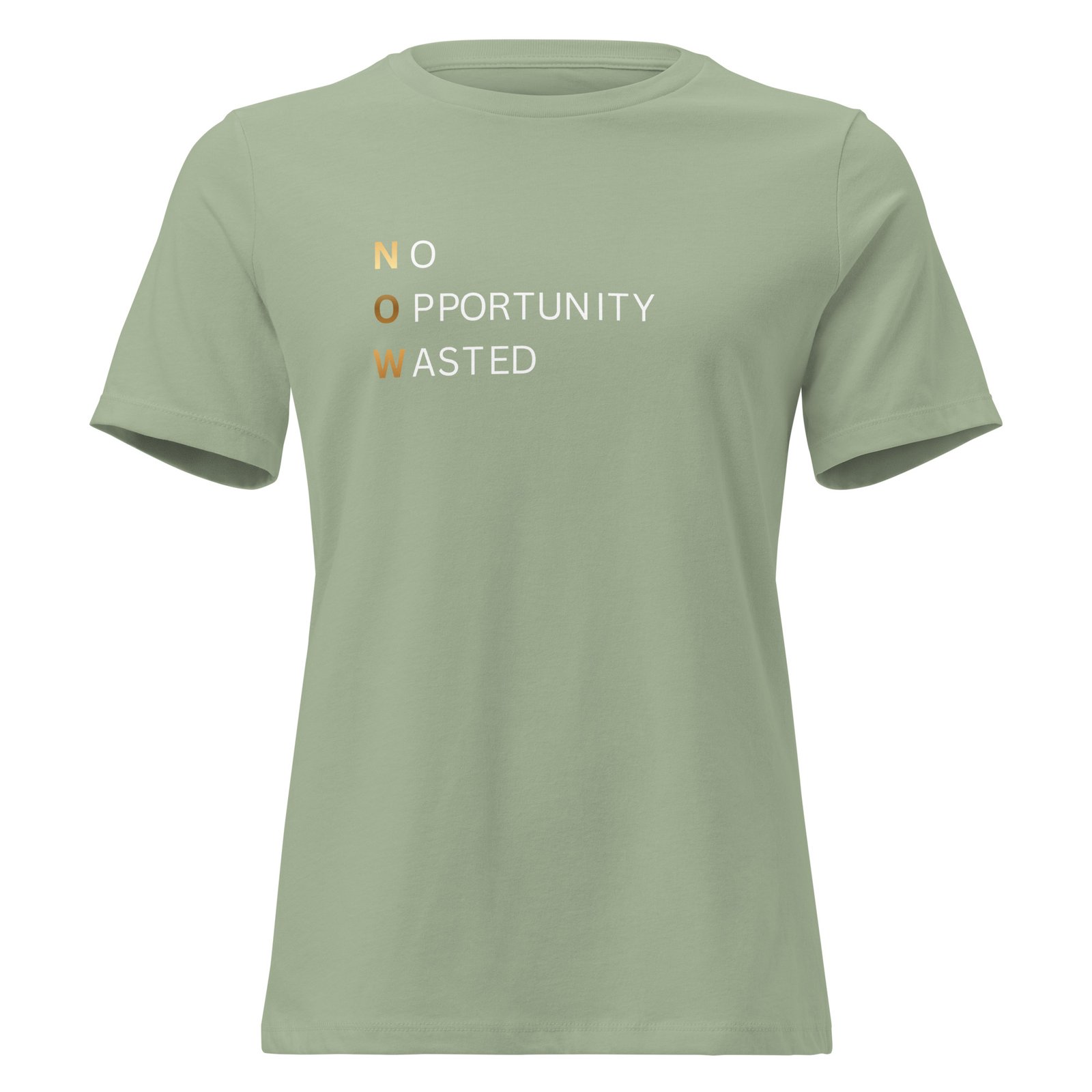 no opportunity wasted — women’s premium tee no opportunity wasted — women’s premium tee